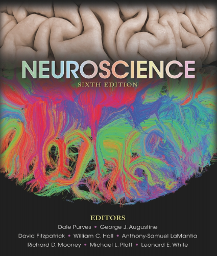 test bank for Neuroscience 6th Edition by Dale Purves